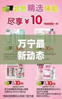 万宁最新动态,今日情况更新速递