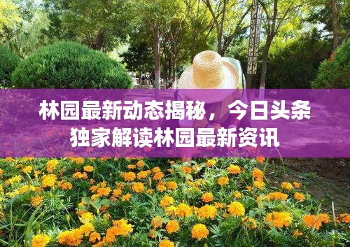 林园最新动态揭秘,今日头条独家解读林园最新资讯