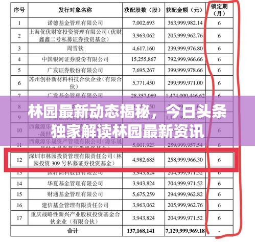 林园最新动态揭秘,今日头条独家解读林园最新资讯