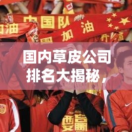 国内草皮公司排名大揭秘,权威榜单,不容错过!