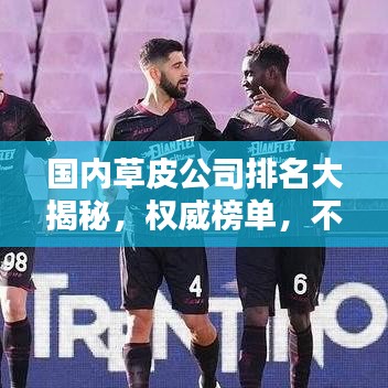 国内草皮公司排名大揭秘,权威榜单,不容错过!