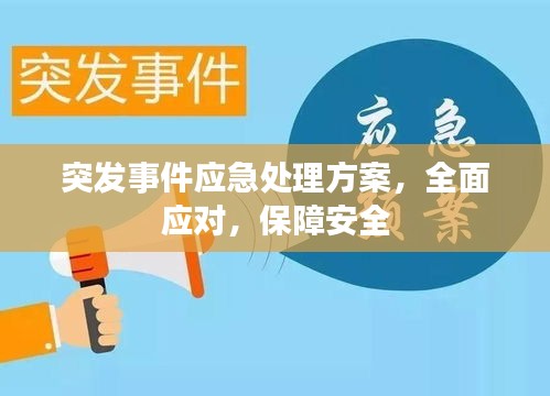 突发事件应急处理方案,全面应对,保障安全