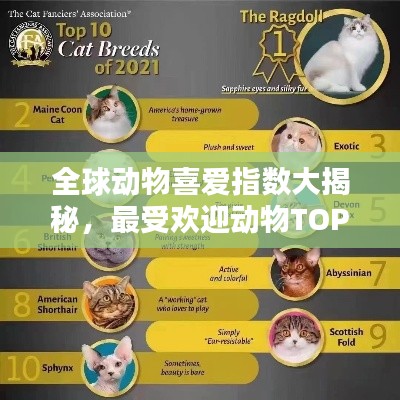 全球动物喜爱指数大揭秘,最受欢迎动物TOP排名!