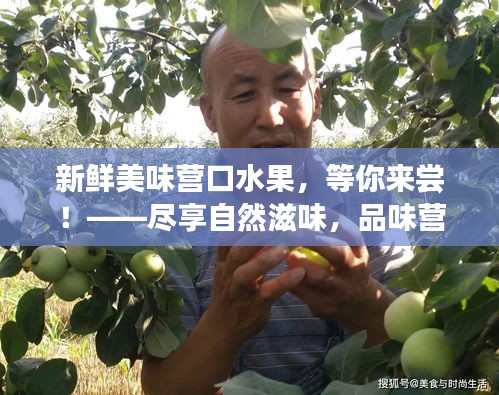 新鲜美味营口水果,等你来尝!——尽享自然滋味,品味营口独特果香