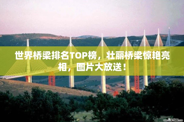 世界桥梁排名TOP榜,壮丽桥梁惊艳亮相,图片大放送!