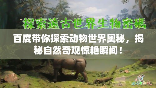 百度带你探索动物世界奥秘,揭秘自然奇观惊艳瞬间!