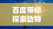 百度带你探索动物世界奥秘,揭秘自然奇观惊艳瞬间!