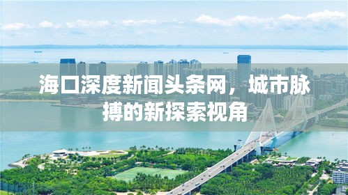 海口深度新闻头条网,城市脉搏的新探索视角