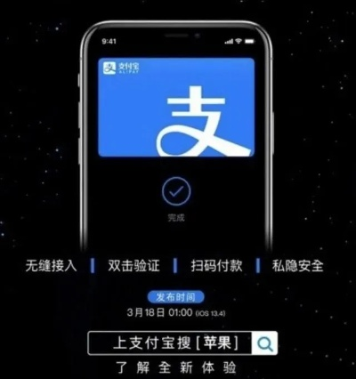 支付宝哪个版本,高效计划实施解析_豪华版_v4.569
