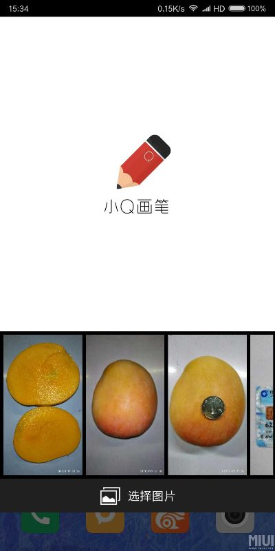 小q画笔苹果官方下载——小白用户的软件选择指南