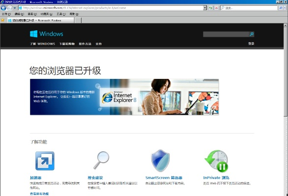 ie9以上版本浏览器,全面分析数据执行-领航款_v8.238