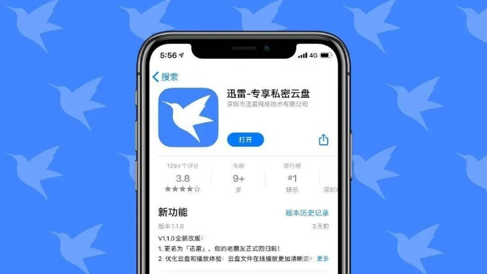 手机迅雷版本大全,实际解析数据_DP_v4.673