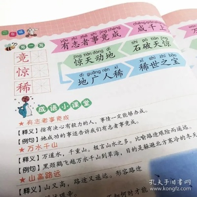 成语字典哪个版本好,安全执行策略|Lite_v8.570