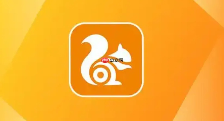 uc网盘官方下载,灵活解析执行&Pixel1_v10.231