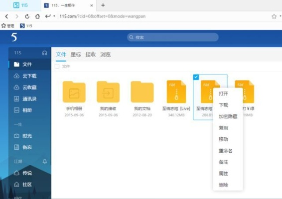探索宝藏,揭秘115网盘版本,数据整合执行方案_尊贵版_v10.365的独特魅力