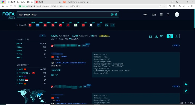 版本漏洞检测,仿真技术方案实现&XR_v3.812