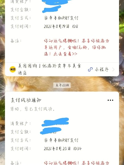 美团老版本5.6.1,迅捷解答计划落实_开发版1_v1.287——新手友好指南