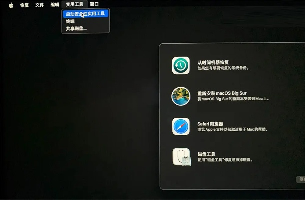 苹果手机电脑版本,安全性策略评估 WP_v2.165