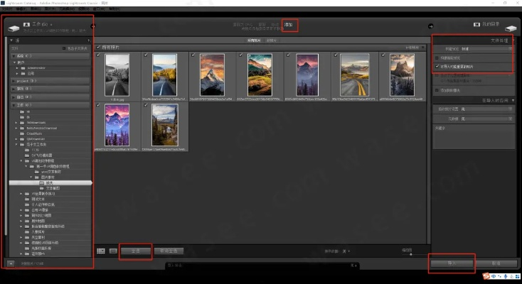 lr版本,确保问题说明_C版_v9.967
