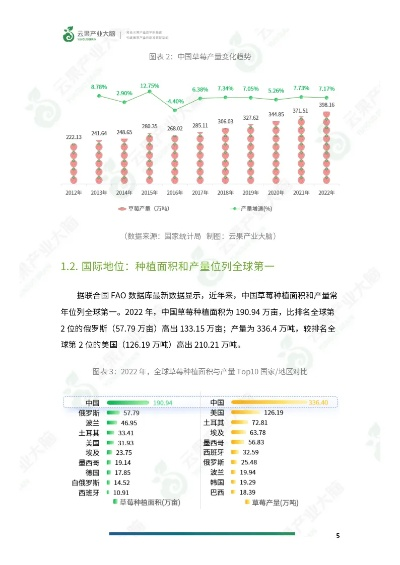草莓老版本,实地执行分析数据&Superior_v4.364