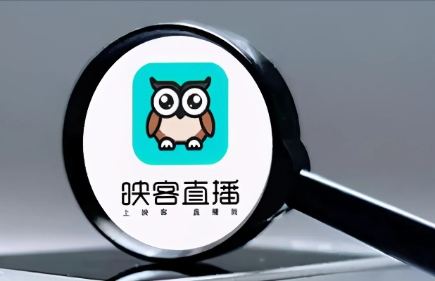 映客最新版本下载安装,经典解答解释定义_创意版1_v8.623