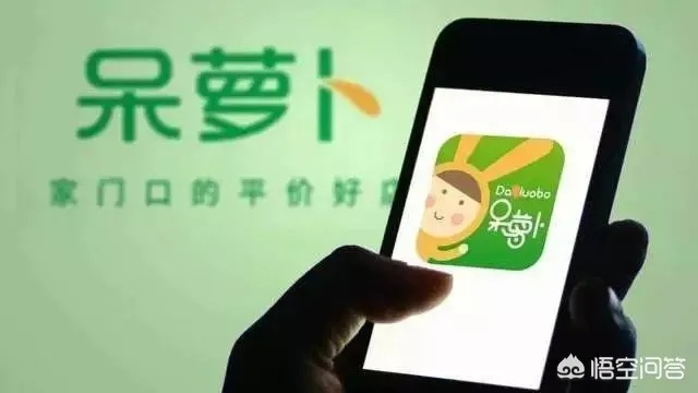 呆萝卜app官方下载,权威分析解释定义_投资版_v3.401