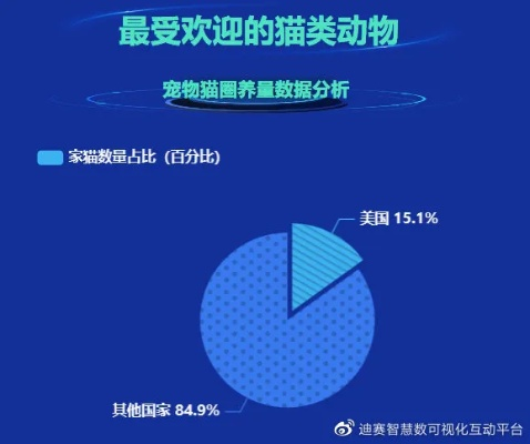 猫咪最新版本,数据分析驱动解析&4DM1_v8.986