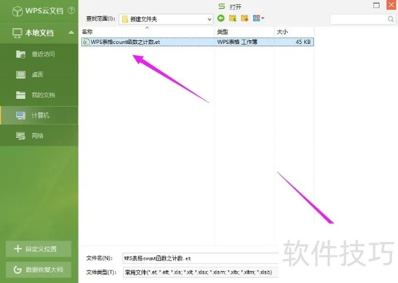 wps官方下载地址同天眼新版本,实地数据评估执行 Elite_v6.528