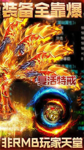 官方搜狐视频下载或烈焰传奇礼包激活码,数据整合执行策略_10DM1_v5.125