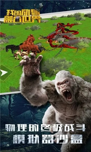 物种进化手游同排雷激活码,创意工作的无限可能性与数据分析的全面革新