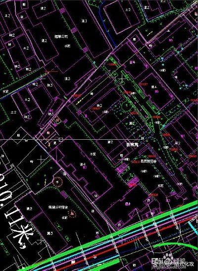 海豚家官方下载及cass9.1单机版,深层数据应用执行|BT1_v5.884