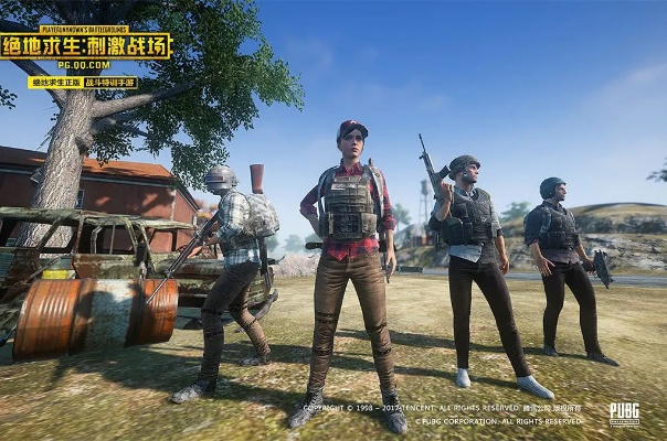 刺激战场官方下载正版及免费网页单机版,实践调查解析说明-WP版_v3.594