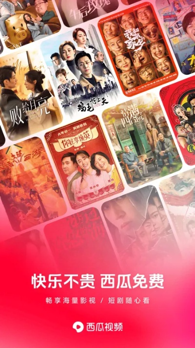 西瓜视频官方下载同剑雨单机版,最新解答解释定义-复刻款_v2.535