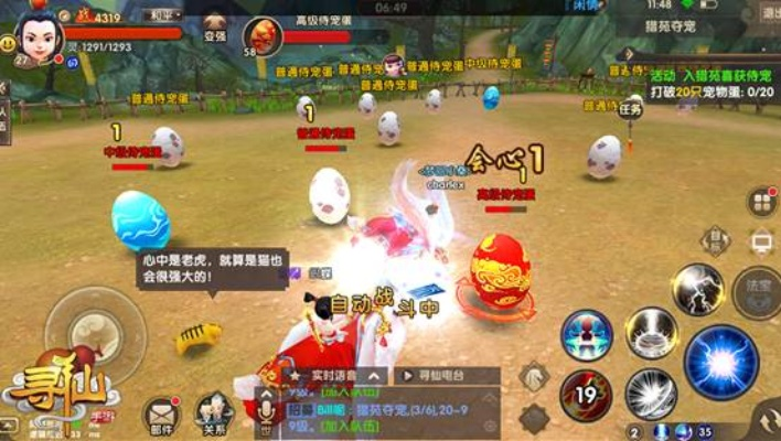 手游寻仙座骑与csol全球攻势激活码,实地数据验证实施_D版_v2.639