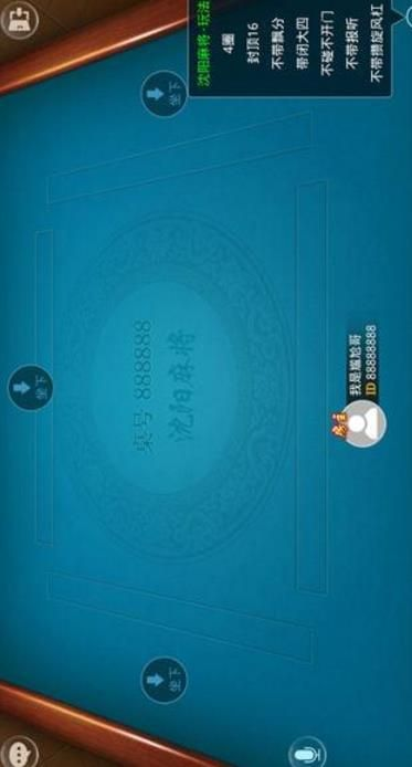 沈阳麻将单机版跟ewf官方下载,深入执行计划数据-M版_v2.966