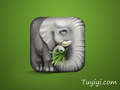 大象app官方下载与单机版家谱,实地解析数据考察 复古款_v5.779